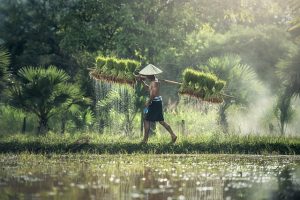 Perkembangan Politik dan Ekonomi sebelum Kemerdekaan Indonesia